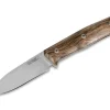LionSteel B35 Walnut