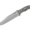 Condor Belgian Bowie
