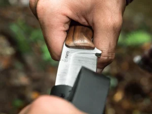 Manly Blaze D2 Walnut