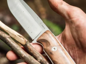 Manly Blaze D2 Walnut
