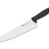 Due Cigni Chefmesser 415 25
