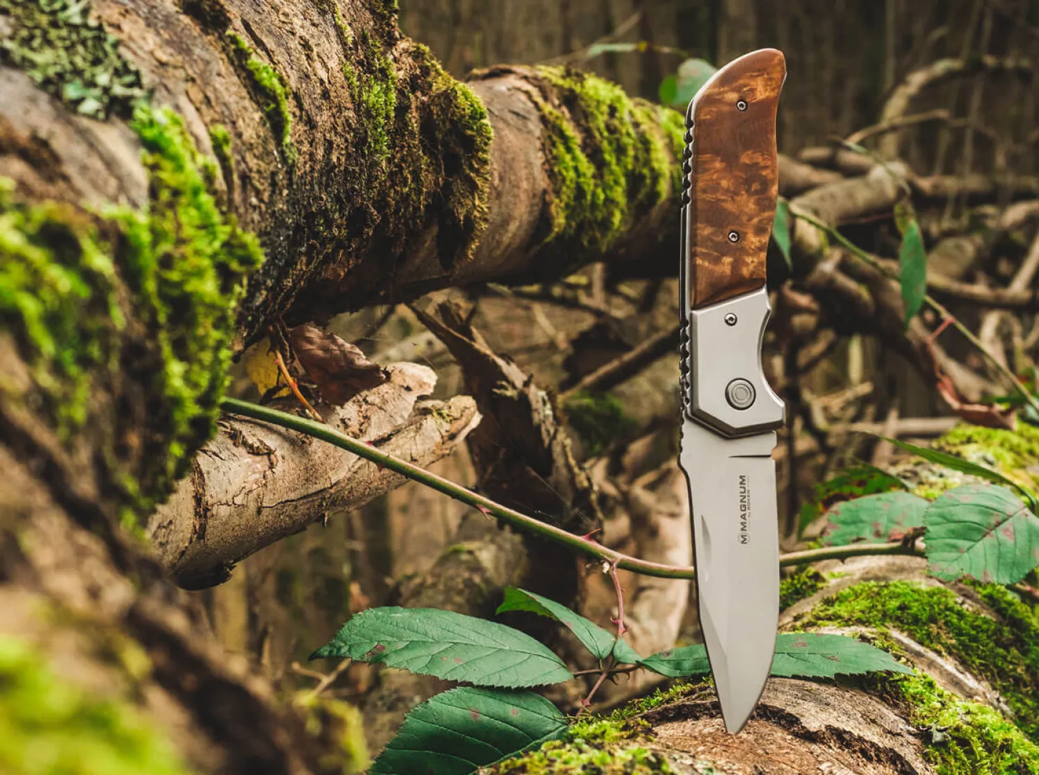 forest_ranger__2.webp Magnum Forest Ranger 42