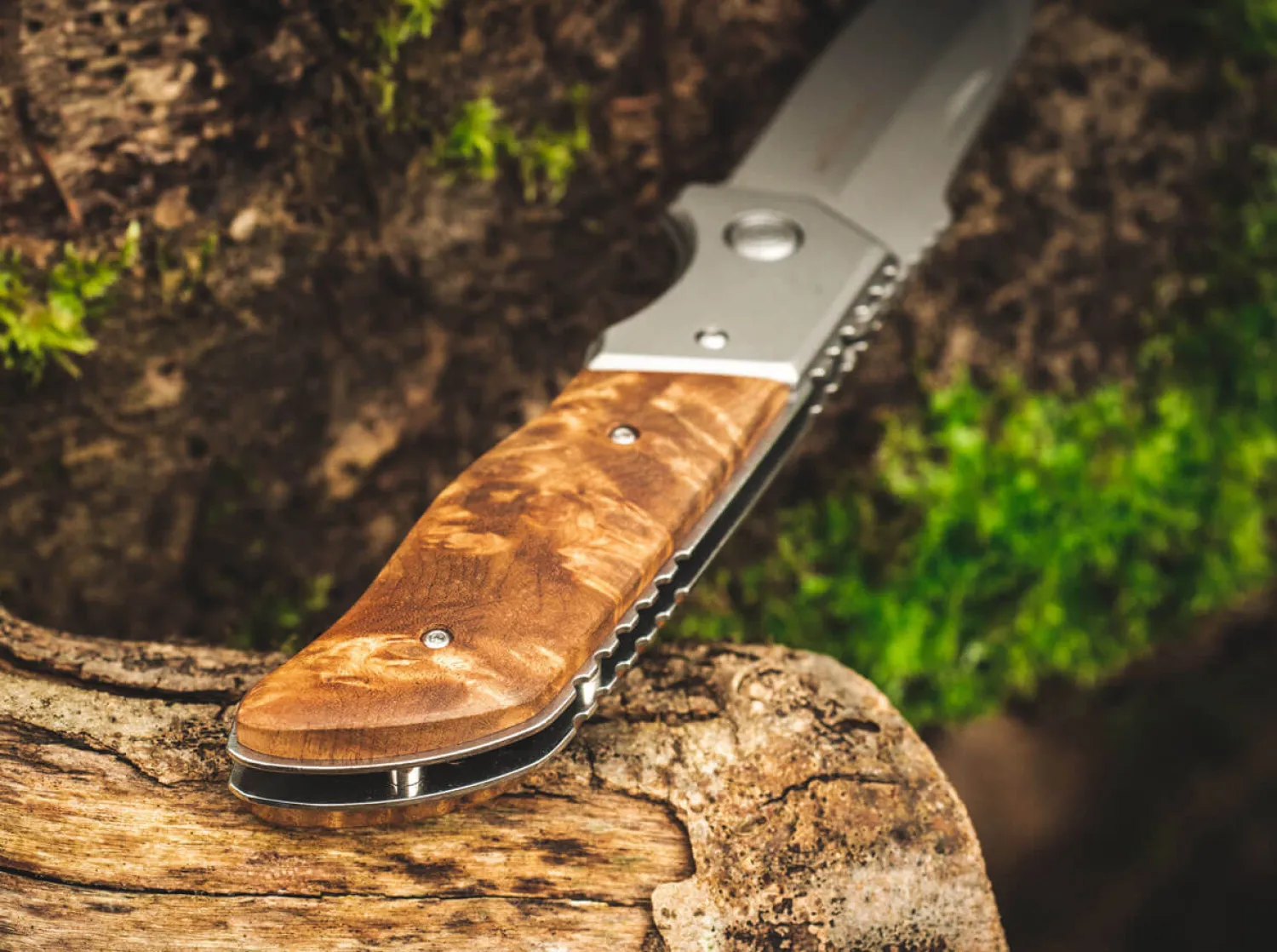 forest_ranger__4.webp Magnum Forest Ranger 42