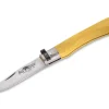 Old Bear Full Color XL Yellow