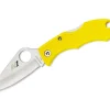 Spyderco LadyBug Salt Pain
