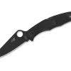 Spyderco Pacific Salt 2 All Black