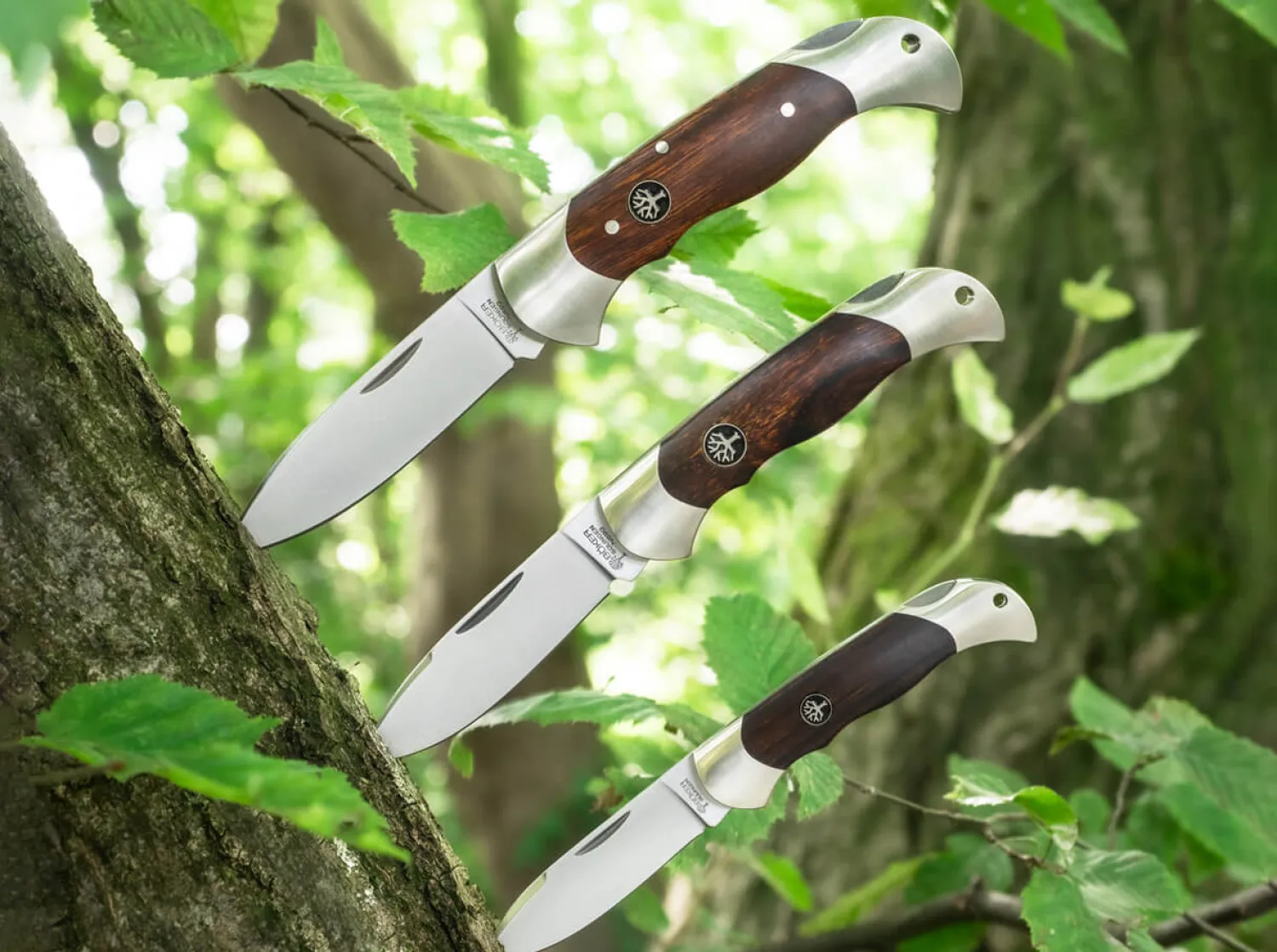 scout_spearpoint_desert_i_3-2.webp Böker Manufaktur Solingen Scout Spearpoint Desert Ironwood