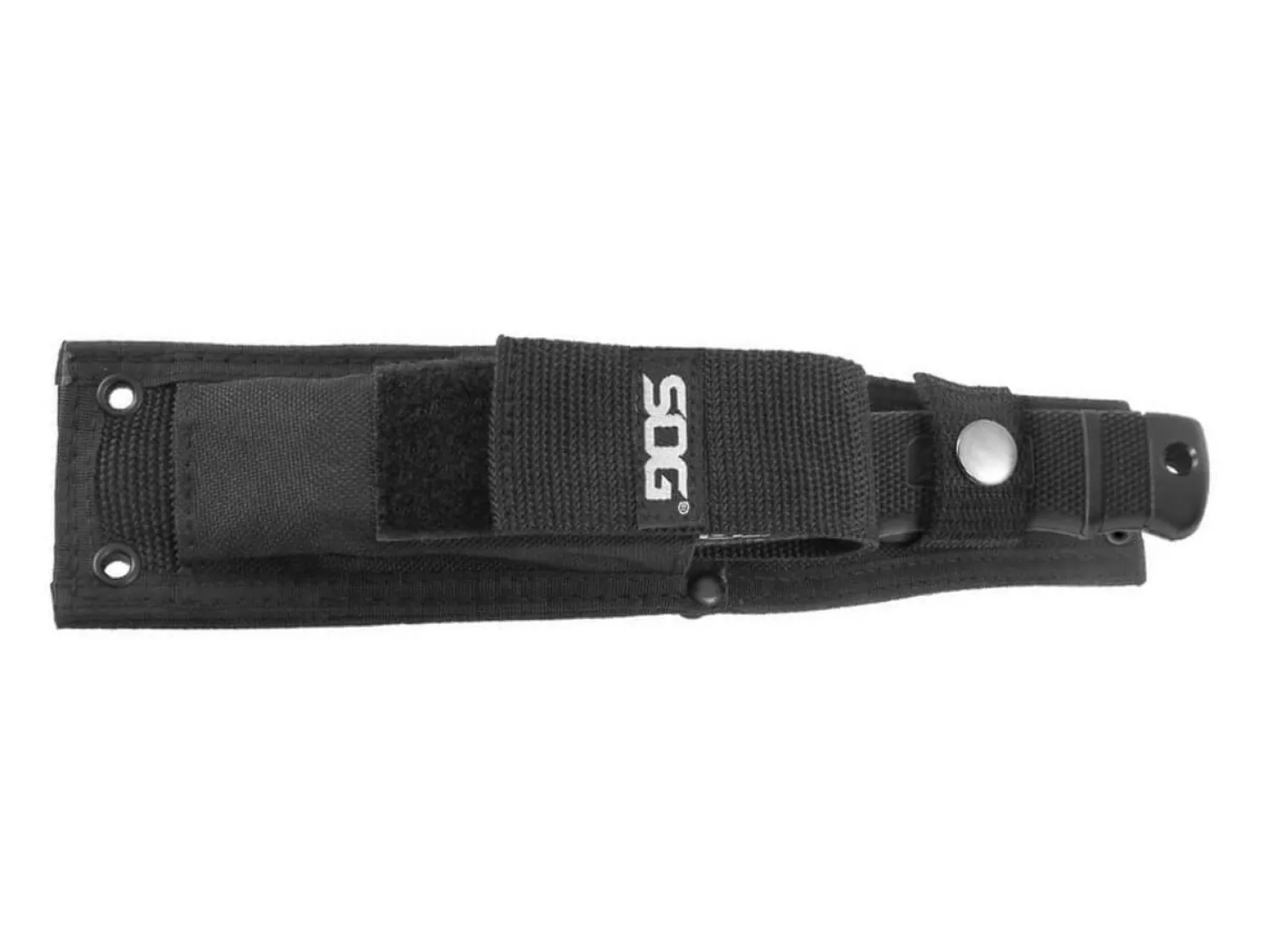 seal_pup_1-1.webp SOG SEAL Pup