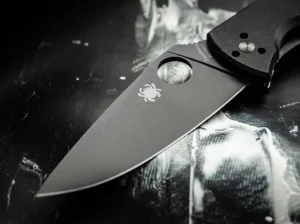 Spyderco Tenacious Black Plain