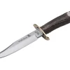 Muela Wildboar Hirschhorn